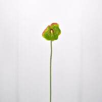 Fiore artificiale Anthurium verde