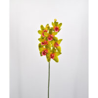 Orchidea artificiale cymbidium verde