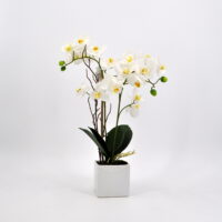 Pianta artificiale Orchidea Phalaenopsis Doris bianca