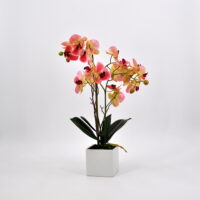 Pianta artificiale Orchidea Phalaenopsis Doris fucsia