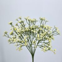 Bouquet fiori artificiali Gypsofila crema