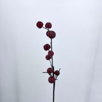 Ramo Mele artificiali rosso