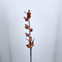Ramo Melograno artificiale rosso