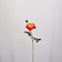 Fiore artificiale Ranuncolo rosa