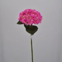 Ortensia real touch rosa