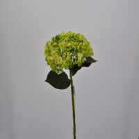 Ortensia real touch verde