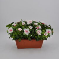 Azalea artificiale balcone screziato