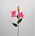 Lilium artificiale fucsia