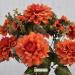 P2 Bouquet fiori artificiali zinnia autunnale arancio