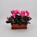 Ciclamino artificiale rosa balcone
