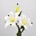 Lilium artificiale bianco