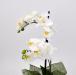 Pianta phalaenopsis artificiale real touch bianco