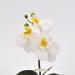Orchidea artificiale real touch bianco