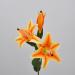 Lilium artificiale arancio