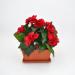 Begonia artificiale balcone rosso