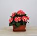 Begonia artificiale balcone rosa