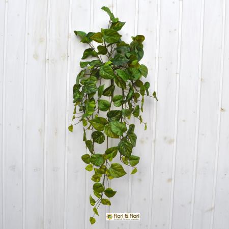 Pothos real touch artificiale