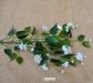 particolare mini flowers bianco