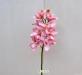 Orchidea artificiale cymbidium rosa