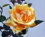 Fiore artificiale Rosa margaret giallo