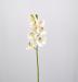 Fiore artificiale Orchidea Cymbidium elegant bianco