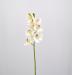 Fiore artificiale Orchidea Cymbidium elegant bianco