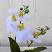 P1 Pianta artificiale phalaenopsis bianco