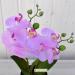 P1 Pianta artificiale phalaenopsis rosa