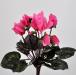 Ciclamino artificiale rosa