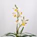 Orchidea cymbidium artificiale bianco