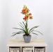 Orchidea cymbidium artificiale arancio