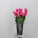 P.1 Tulipano rosa