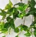 Pothos artificiale real touch medium