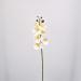 Fiore artificiale Orchidea phalaenopsis bianca