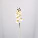 Fiore artificiale Orchidea phalaenopsis bianca