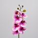 Fiore artificiale Orchidea phalaenopsis fucsia