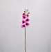 Fiore artificiale Orchidea phalaenopsis fucsia
