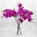 Orchidea Phalaenopsis amabilis artificiale fucsia