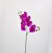 Orchidea Phalaenopsis amabilis artificiale fucsia