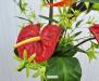 P2Bouquet di fiori artificiali tropical