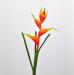 Eliconia artificiale arancio