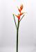 Eliconia artificiale arancio