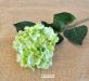 P.Fiore artificiale ortensia alice verde