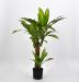 Dracena artificiale cm 70