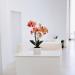 Pianta artificiale Orchidea Phalaenopsis Doris fucsia
