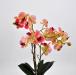 Pianta artificiale Orchidea Phalaenopsis Doris fucsia