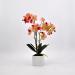 Pianta artificiale Orchidea Phalaenopsis Doris fucsia