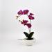 Pianta artificiale Orchidea Phalaenopsis Doris fucsia