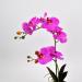 Pianta artificiale Orchidea Phalaenopsis Doris rosa