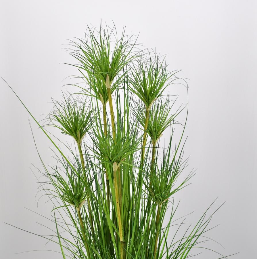 Falso papiro, Verde, in Vaso, 180cm - Pianta Artificiale/Cespuglio Ornamentale